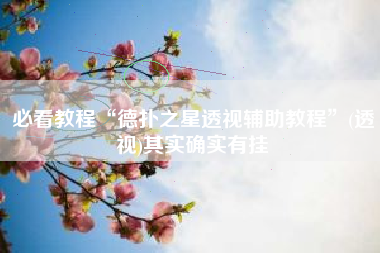 必看教程“德扑之星透视辅助教程”(透视)其实确实有挂