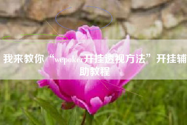 我来教你“wepoker开挂透视方法”开挂辅助教程