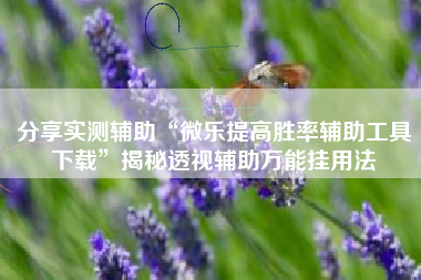 分享实测辅助“微乐提高胜率辅助工具下载	”揭秘透视辅助万能挂用法