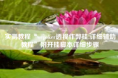 实测教程“wepoker透视作弊挂!详细辅助教程”附开挂脚本详细步骤