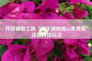 开挂辅助工具“微乐辅助器ios免费版”详细开挂玩法