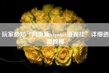 玩家必知“网页版wepoker透视挂”详细透视教程