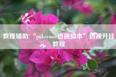 教程辅助!“pokernow透视脚本	”透视开挂教程