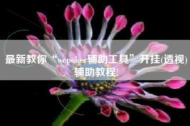 最新教你“wepoker辅助工具”开挂(透视)辅助教程!