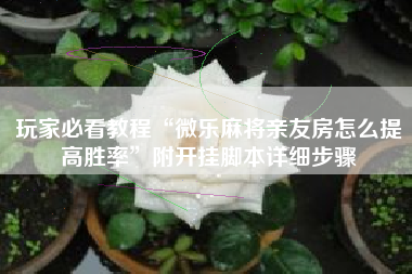 玩家必看教程“微乐麻将亲友房怎么提高胜率”附开挂脚本详细步骤