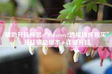 辅助开挂神器“Pokerrrr2透视插件购买	”开挂辅助脚本+详细开挂