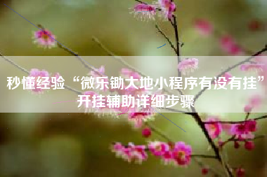 秒懂经验“微乐锄大地小程序有没有挂”开挂辅助详细步骤