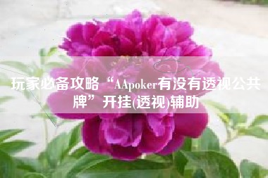 玩家必备攻略“AApoker有没有透视公共牌”开挂(透视)辅助