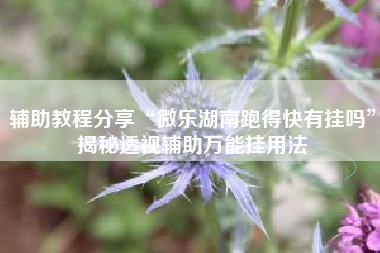 辅助教程分享“微乐湖南跑得快有挂吗”揭秘透视辅助万能挂用法