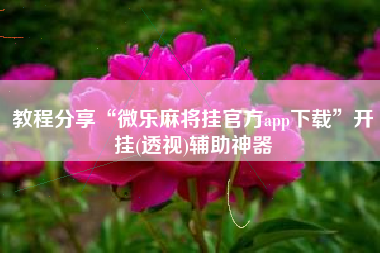 教程分享“微乐麻将挂官方app下载”开挂(透视)辅助神器