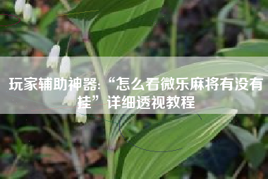 玩家辅助神器:“怎么看微乐麻将有没有挂	”详细透视教程