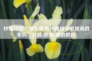 秒懂经验“微乐麻将开通月卡会提高胜率吗”开挂(透视)辅助教程!