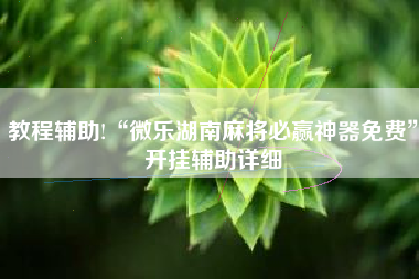 教程辅助!“微乐湖南麻将必赢神器免费	”开挂辅助详细