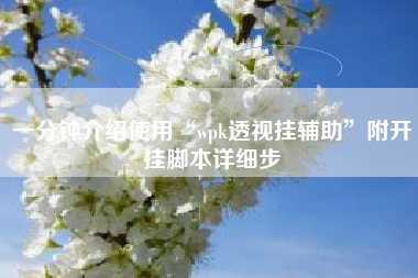 一分钟介绍使用“wpk透视挂辅助	”附开挂脚本详细步