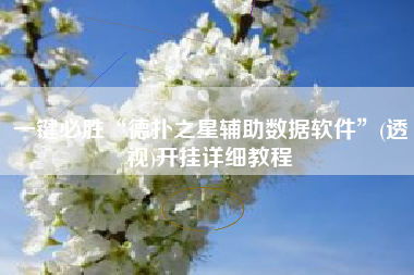 一键必胜“德扑之星辅助数据软件”(透视)开挂详细教程