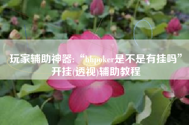 玩家辅助神器:“hhpoker是不是有挂吗”开挂(透视)辅助教程