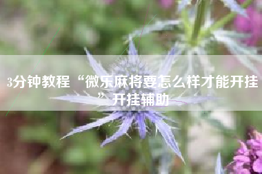 3分钟教程“微乐麻将要怎么样才能开挂”开挂辅助