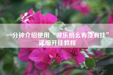 一分钟介绍使用“微乐刨幺有没有挂”详细开挂教程