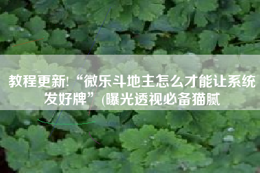 教程更新!“微乐斗地主怎么才能让系统发好牌”(曝光透视必备猫腻