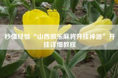 秒懂经验“山西微乐麻将开挂神器	”开挂详细教程