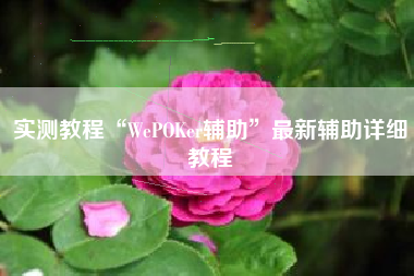 实测教程“WePOKer辅助	”最新辅助详细教程