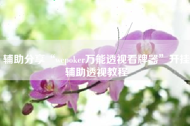 辅助分享“wepoker万能透视看牌器”开挂辅助透视教程