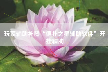 玩家辅助神器“德扑之星辅助软件”开挂辅助