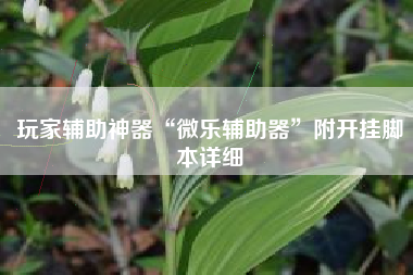 玩家辅助神器“微乐辅助器”附开挂脚本详细
