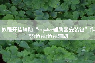 教程开挂辅助“wepoker辅助器安装包	”作弊(透视)透视辅助