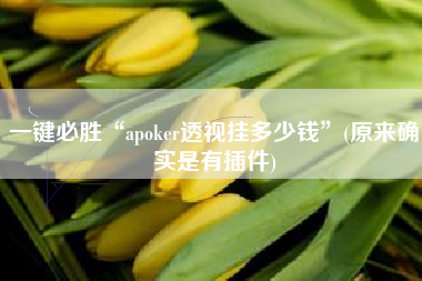 一键必胜“apoker透视挂多少钱”(原来确实是有插件)