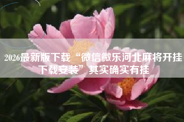 2026最新版下载“微信微乐河北麻将开挂下载安装”其实确实有挂