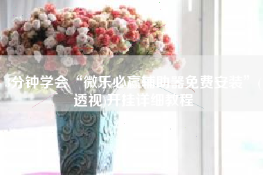 3分钟学会“微乐必赢辅助器免费安装	”(透视)开挂详细教程