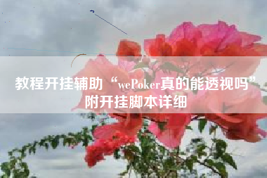 教程开挂辅助“wePoker真的能透视吗	”附开挂脚本详细