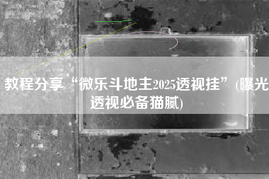 教程分享“微乐斗地主2025透视挂	”(曝光透视必备猫腻)