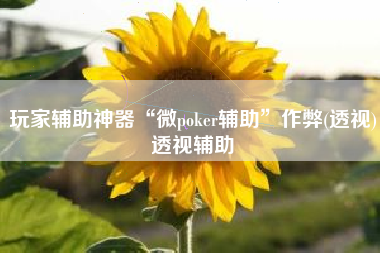 玩家辅助神器“微poker辅助”作弊(透视)透视辅助