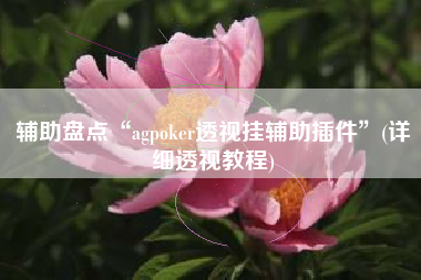 辅助盘点“agpoker透视挂辅助插件	”(详细透视教程)