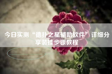 今日实测“德扑之星辅助软件”详细分享装挂步骤教程