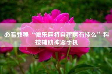 必看教程“微乐麻将自建房有挂么”科技辅助神器手机