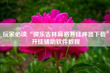 玩家必读“微乐吉林麻将开挂神器下载”开挂辅助软件教程