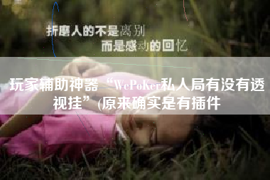玩家辅助神器“WePoKer私人局有没有透视挂”(原来确实是有插件