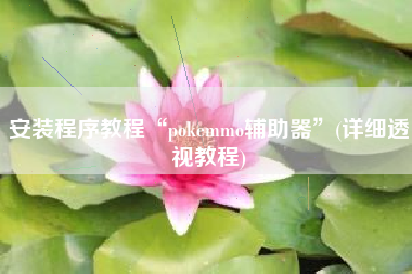 安装程序教程“pokemmo辅助器”(详细透视教程)