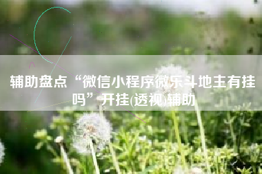辅助盘点“微信小程序微乐斗地主有挂吗”开挂(透视)辅助