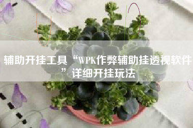 辅助开挂工具“WPK作弊辅助挂透视软件”详细开挂玩法