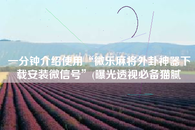 一分钟介绍使用“微乐麻将外卦神器下载安装微信号	”(曝光透视必备猫腻