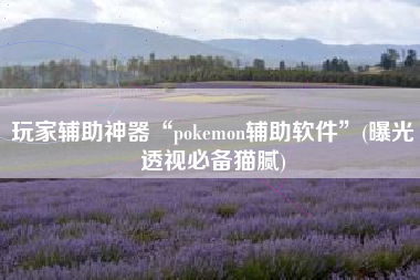 玩家辅助神器“pokemon辅助软件”(曝光透视必备猫腻)
