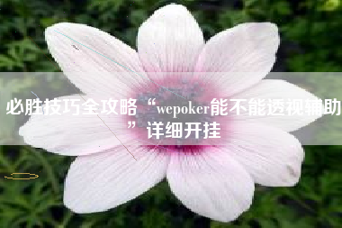 必胜技巧全攻略“wepoker能不能透视辅助”详细开挂