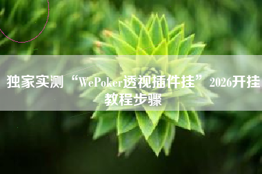 独家实测“WePoker透视插件挂”2026开挂教程步骤