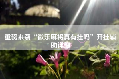 重磅来袭“微乐麻将真有挂吗	”开挂辅助详细