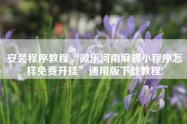 安装程序教程“微乐河南麻将小程序怎样免费开挂”通用版下载教程!