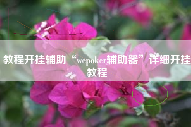 教程开挂辅助“wepoker辅助器”详细开挂教程